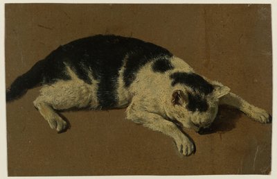 Kissa makaa pää etujalkojen välissä tekijältä Adriaen van de Velde (attributed to)