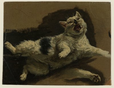 Kissa makaa selällään ja löysä tassu tekijältä Adriaen van de Velde (attributed to)