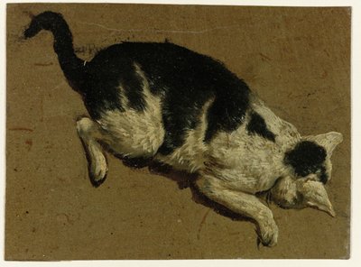 Kissa katselee alas tasolta tekijältä Adriaen van de Velde (attributed to)