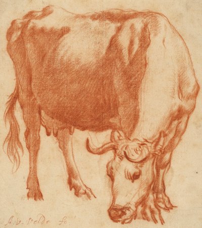 Lehmä laiduntaa, n. 1663 (Punainen liitupiirros) tekijältä Adriaen van de Velde
