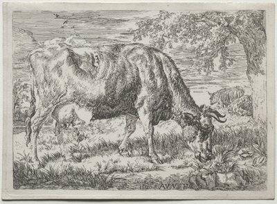 Lehmä ja kaksi lammasta puun juurella, 1670. tekijältä Adriaen van de Velde