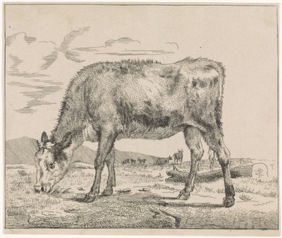 laiduntava vasikka Karja (sarjan nimi) tekijältä Adriaen van de Velde