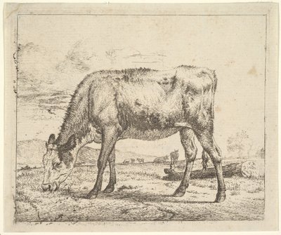 laiduntava vasikka, eri eläimistä, 1658. tekijältä Adriaen van de Velde