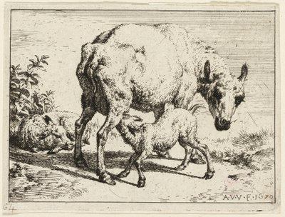 Lammas tekijältä Adriaen van de Velde