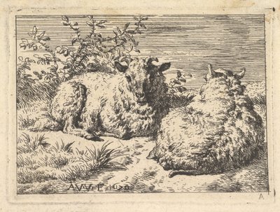 Kaksi makaavaa lammasta, 1670. tekijältä Adriaen van de Velde