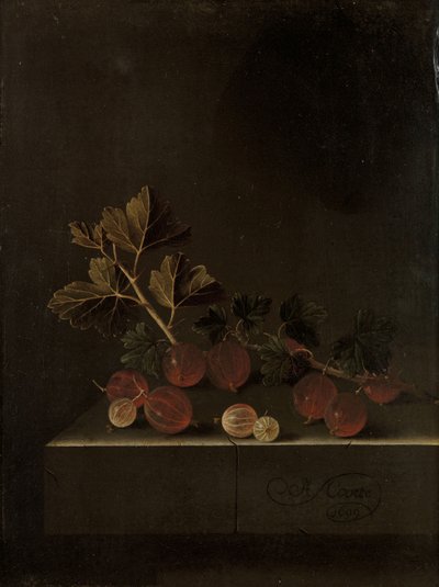 Karviaismarjan oksa kivijalkalissa, 1699 tekijältä Adrian Coorte