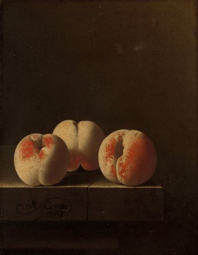 Kolme persikkaa kivijalkalissa, 1705 tekijältä Adrian Coorte