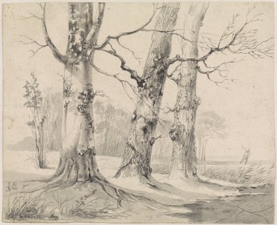 talvinen maisema tekijältä Adrianus Eversen