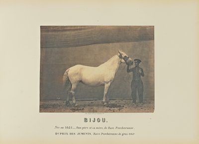 Bijou tekijältä Adrien Alban Tournachon