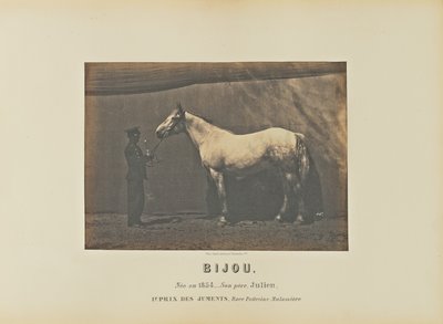Bijou tekijältä Adrien Alban Tournachon