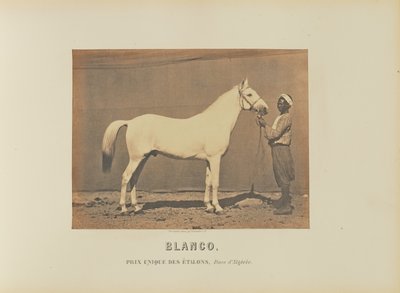 Blanco tekijältä Adrien Alban Tournachon