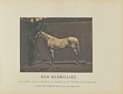 Meg-Merrillies tekijältä Adrien Alban Tournachon