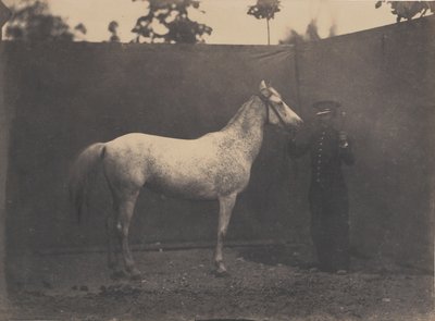 Pascaline, ca. 1855-60. finlandès tekijältä Adrien Alban Tournachon