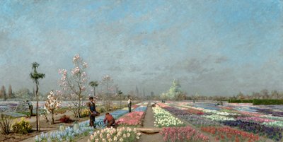 Kukkivat hyasinttipellot Van Houtten taimitarhassa Gentissä, josta on näkymät Pyhän Nikolauksen kirkolle, kellotapulille ja Pyhän Bavon katedraalille, 1883 tekijältä Adrien Louis Demont