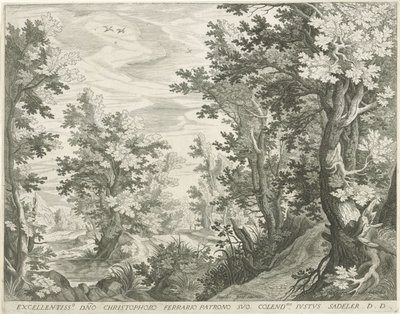 metsäinen maisema tekijältä Egidius  Sadeler (II)