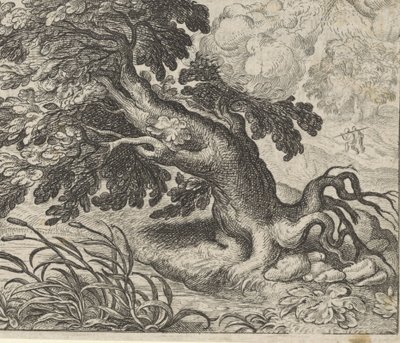Fable of the Ash and the Reed tekijältä Egidius  Sadeler (II)