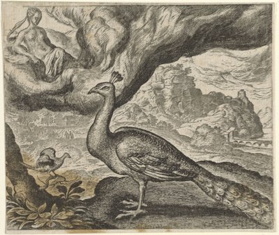 Fable of the Peacock and the Nightingale tekijältä Egidius  Sadeler (II)
