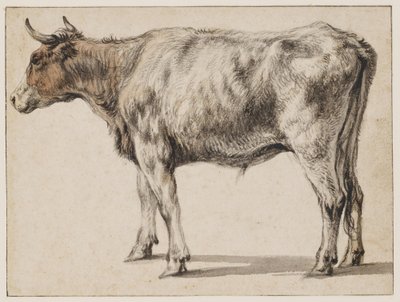 Seisova nuori sonni tekijältä Aelbert Cuyp