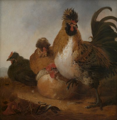 Kukko ja kanat tekijältä Aelbert Cuyp