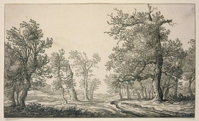 Polku tammimetsän läpi tekijältä Aelbert Cuyp