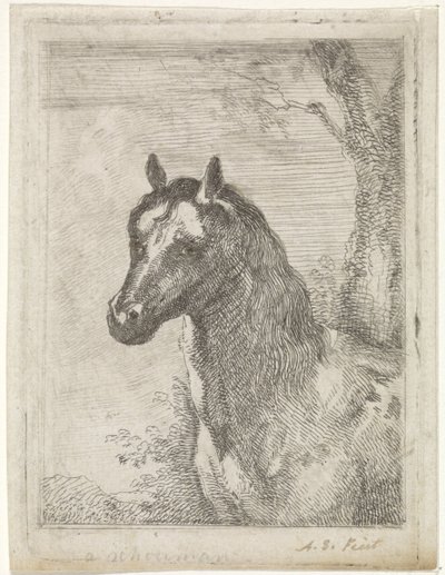 hevosen pää tekijältä Aert Schouman (signed by artist)