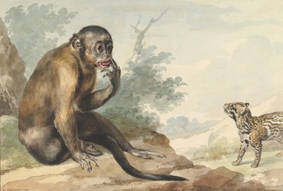 Apina istuu kalliolla ja katsoo siivettiä, 1764. tekijältä Aert Schouman