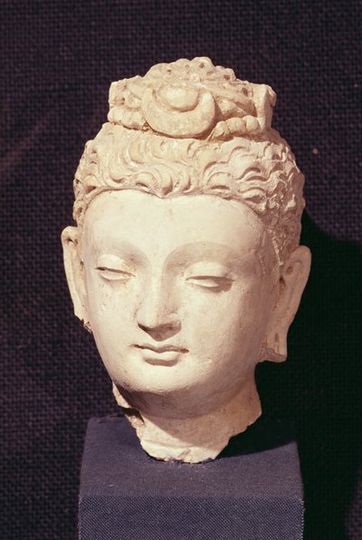 Buddhan pää, kreikkalais-buddhalainen tyyli, Haddasta (stukki) tekijältä Afghan School