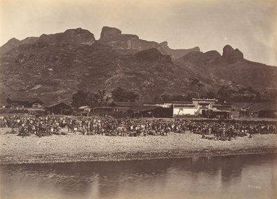 Duck Market, n. 1869. tekijältä Afong Lai