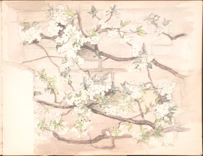 Luonnoskirja. Heinäkuu 1899 - kesäkuu 1901 tekijältä Agnes Slott Møller