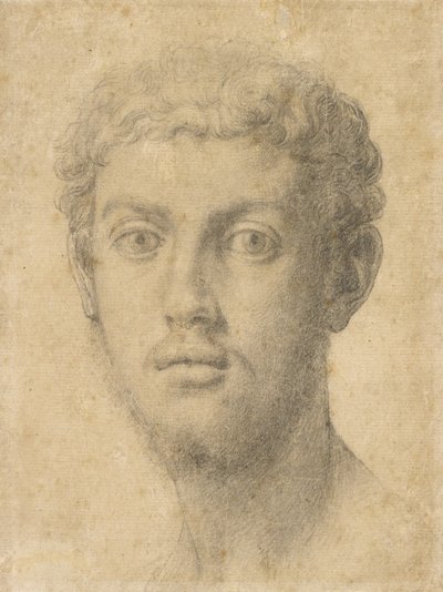 Miehen pää tekijältä Agnolo Bronzino