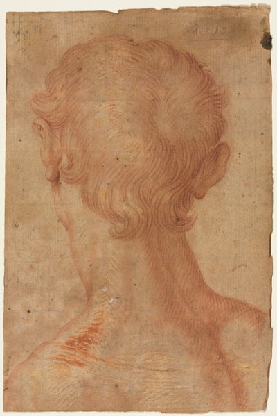  tekijältä Agnolo Bronzino
