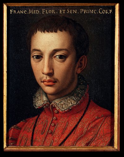 Muotokuva Francois I of Medici (Francesco I de Medici) (1541-1587) Nuoren pojan maalaus Allori Angelo di Cosimo dit Bronzino (1503-1572) 1500-luku Aurinko 15x12 cm Palatsi Medici-Riccardi (Medici Riccardi) Firenze tekijältä Agnolo Bronzino