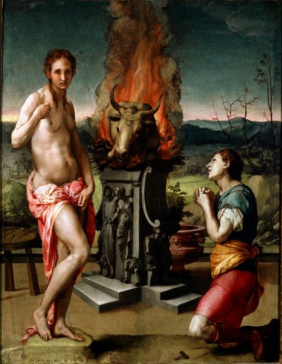 Pygmalion ja Galatee (tai Galathee) maalaus Agnolo di Cosimo di Mariano dit Il Bronzino (1502-1572) 1529-1530 su. 81x63 cm Firenze, Uffizi Gallery (Musee des Uffizi) tekijältä Agnolo Bronzino
