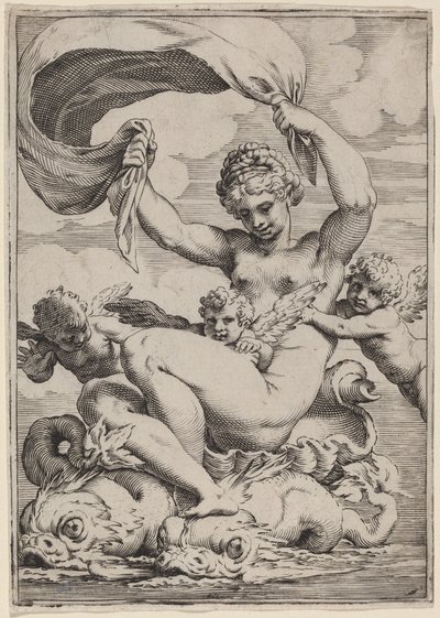 Delfiinien tukema Venus tai Galatea tekijältä Agostino Carracci