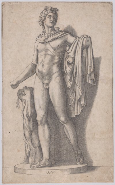 Apollo, n. 1514-36. tekijältä Agostino Veneziano