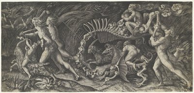 Het karkas Stregozzo tekijältä Agostino Veneziano