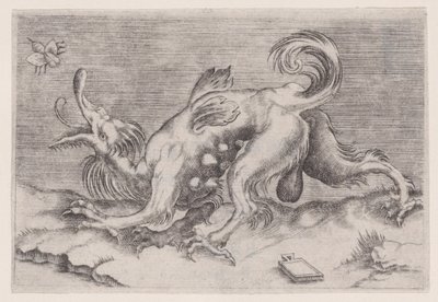 Lohikäärme ja mehiläinen, n. 1514-36. tekijältä Agostino Veneziano