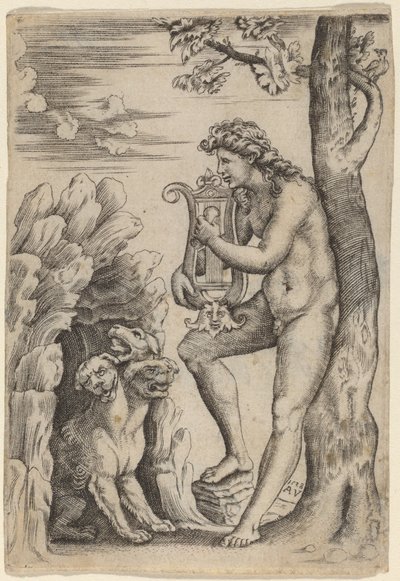 Orpheus tekijältä Agostino dei Musi