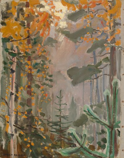  tekijältä Akseli Gallen-Kallela