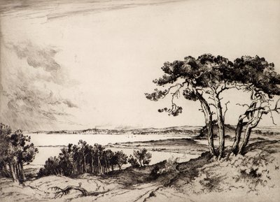Poole (etsaus) tekijältä Albany E. Howarth