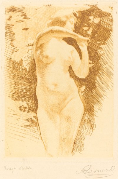 aatto tekijältä Albert Besnard