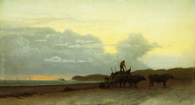 Coastal View, Newport, 1861 tekijältä Albert Bierstadt