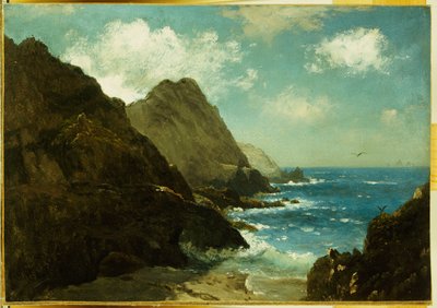 Farallon saaret tekijältä Albert Bierstadt