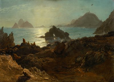 Farallon-saaret, Tyynimeri, Kalifornia tekijältä Albert Bierstadt