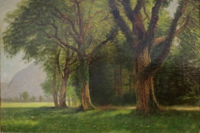 Yosemiten laaksossa tekijältä Albert Bierstadt