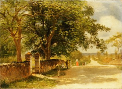 Katu Nassaussa, noin 1878 tekijältä Albert Bierstadt