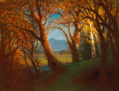 Auringonlasku Nebraskan alueella tekijältä Albert Bierstadt