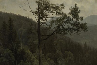 Puiden peittämät vuoret tekijältä Albert Bierstadt
