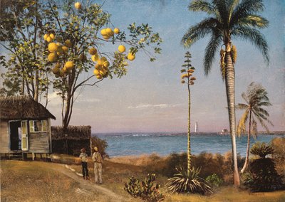 Trooppinen kohtaus tekijältä Albert Bierstadt