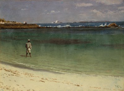 Länsi-Intian rannikkokohtaus, n.1880-93 (öljy paperille kiinnitettynä kuitulevylle). tekijältä Albert Bierstadt